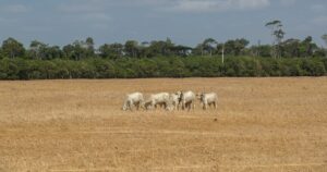 Agronegócio em Alerta: A Pressão da Crise Climática Exige Soluções Urgentes!