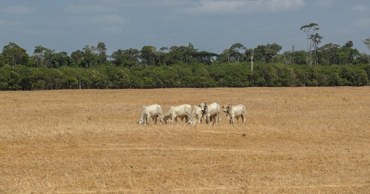 4B7VXEDOFNDR3CMTWLL3VI36T4