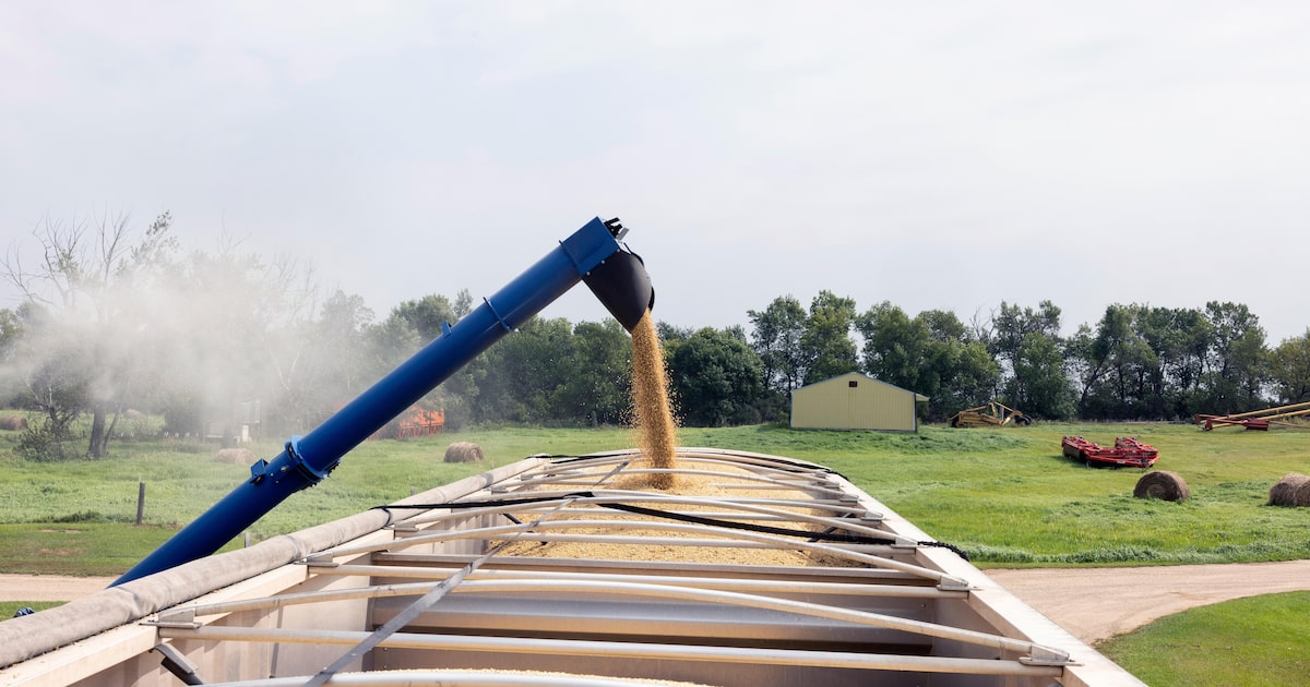 DHVGJHGPWRBY7ISPMRD6ZL23ZA