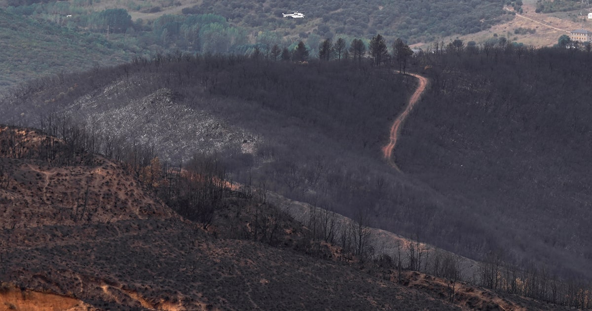 JOPMHMVPSBDJRHPF7B2IAUYKYY