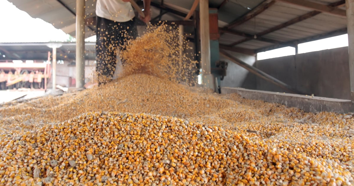 LIUYTEMY2FCNJFKVVRSYXPLHXY