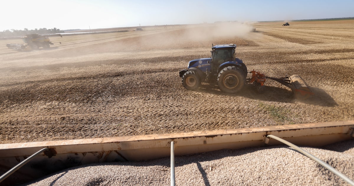 MVJSWKQ5P5DSBDLHDGV3ZQDXWQ