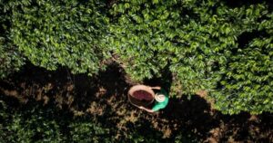 Revolução Verde: Lucre Sem Químicos!