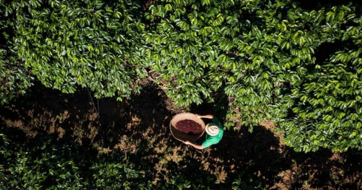 V2WLGJQJCZMKXC442YAEKIRLNY