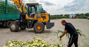 China Resiste com Garras à Guerra Comercial de Trump!