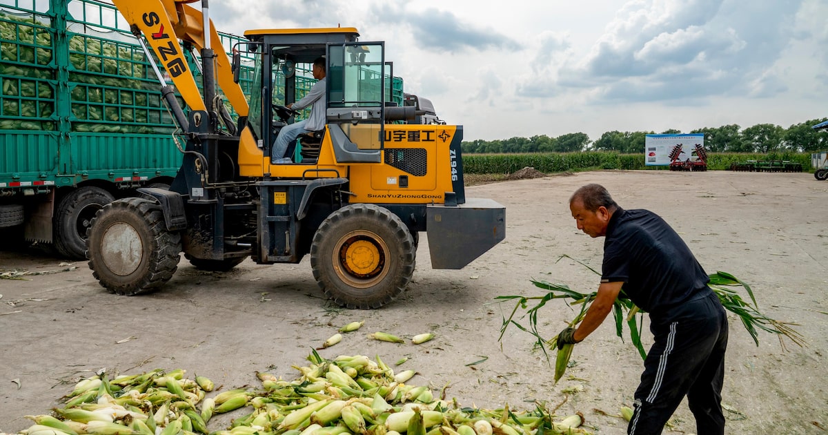 W2TNXN3FINGHDEY4NWBBOJR37Y