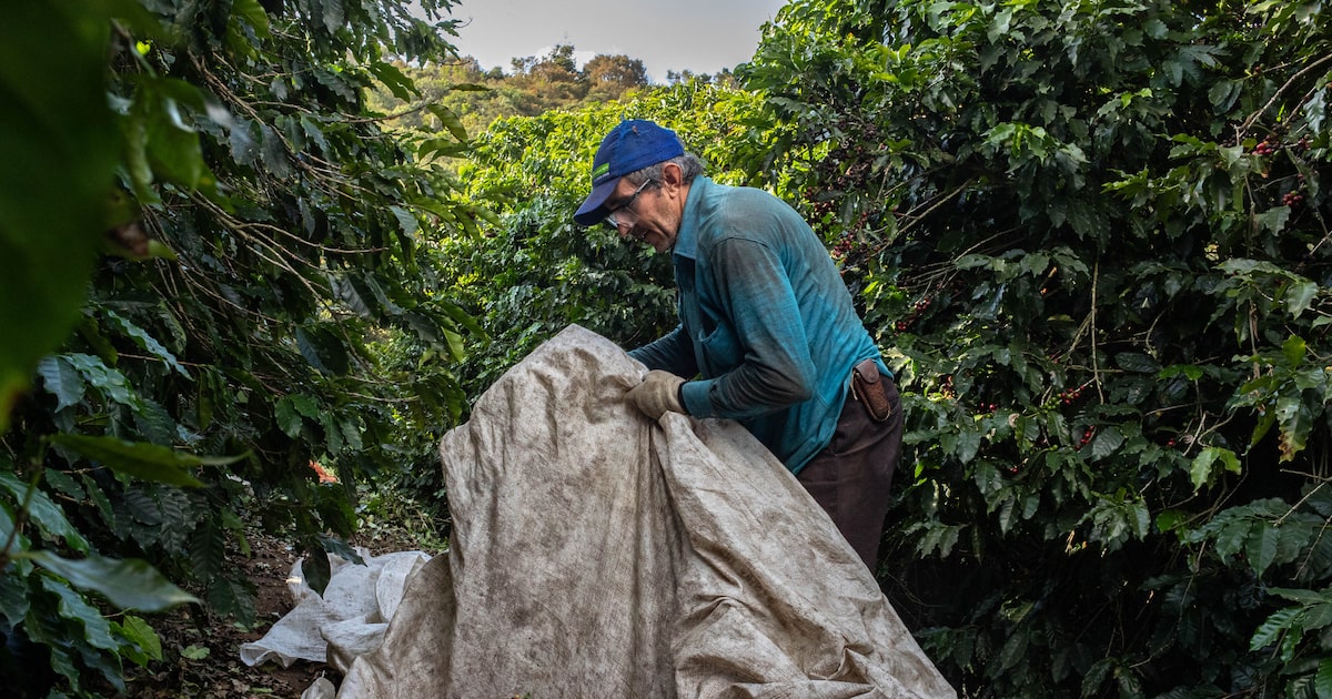 WJBOWCBE2VAO3M2R2SG4UOGBHQ