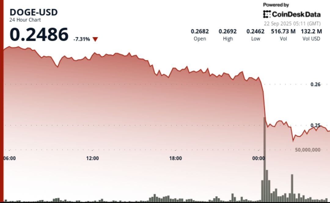 b95238c2f545337f408b2a439ec50299b59e2255