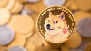 Revolução nas Finanças: Dogecoin (DOGE) Tem Tesouraria Lançada e Ações Colapsam!