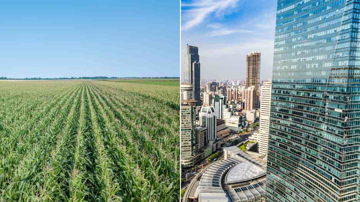 plantacao e imoveis lastros de lca e lci