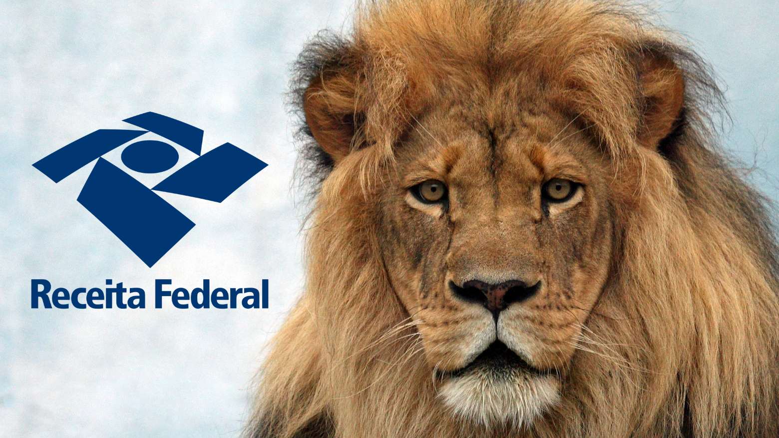 sd ir imposto de renda 2024 receita federal