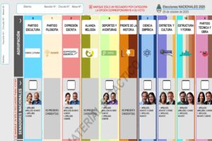 Votação Revolucionária: Descubra o Impactante Novo Modelo de Urnas na Argentina!