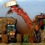 3Tentos e Ipiranga Selam Acordo Bombástico para Base de Distribuição ao Lado de Usina! 1 2024 04 16T112744Z 1 LYNXNPEK3F0F4 RTROPTP 4 BRAZIL ETHANOL