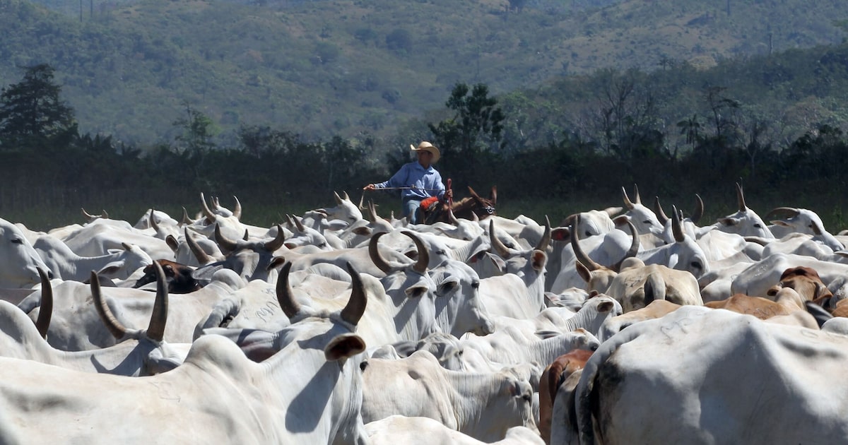 5JZZQXKKYRKFRBTOPAGYHMLMPE