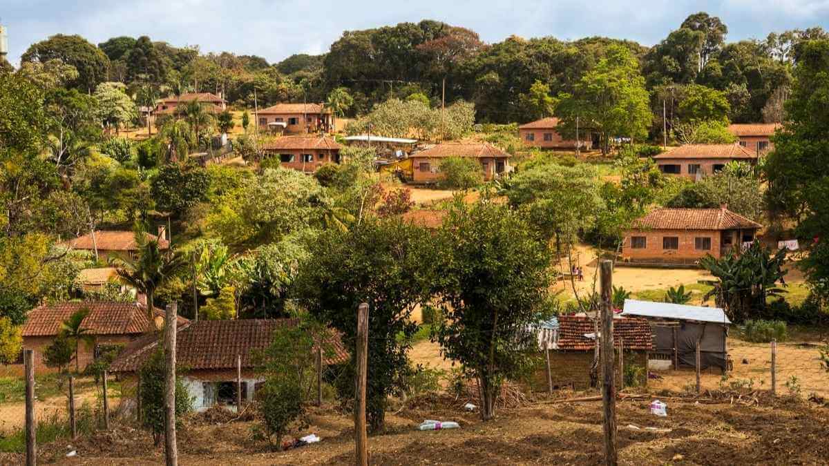 A Selva de Pedra: O Município Brasileiro com Mais Etnias Indígenas! 2 Tenonde Pora 2