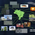 NBB Renascente: Novo Parceiro, Identidade Transformada e Investimento Bilionário em Pisos! 3 WhatsApp Image 2025 10 24 at 10.59.09