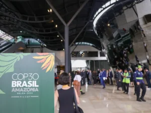 ‘COP Paralela’: O Choque que a COP30 Precisa para Agitar o Debate! 5 pzzb5906.webp