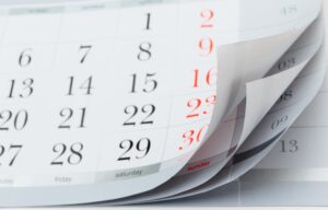 Folga Prolongada à Vista! Confira os Feriados Imperdíveis de Novembro! 5 shutterstock 178746263 scaled