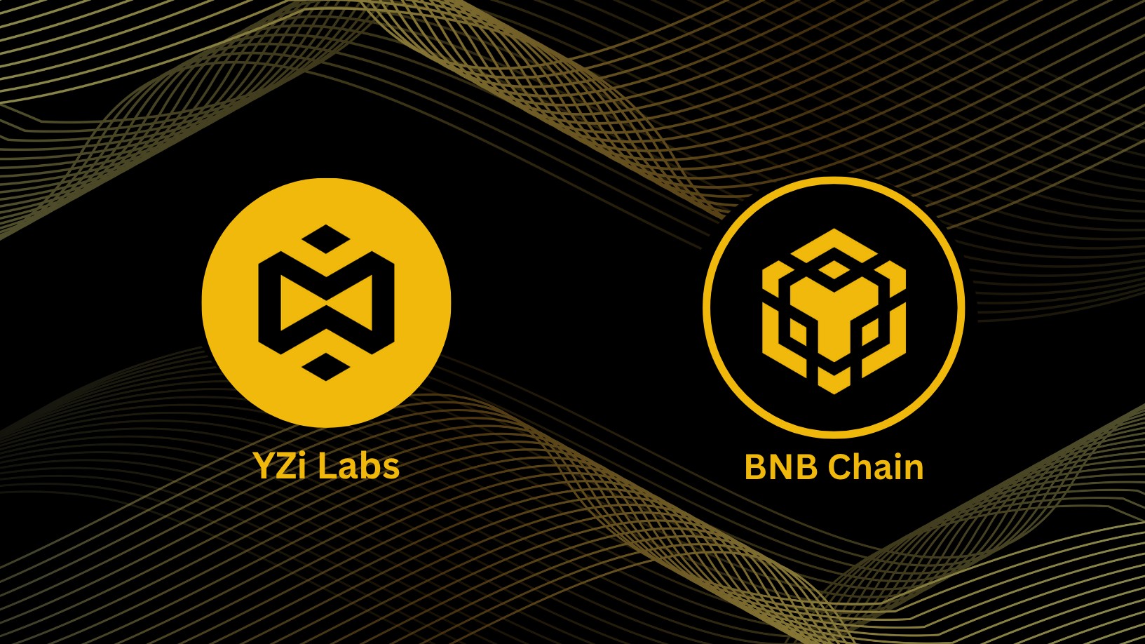 yzi labs bnb chain