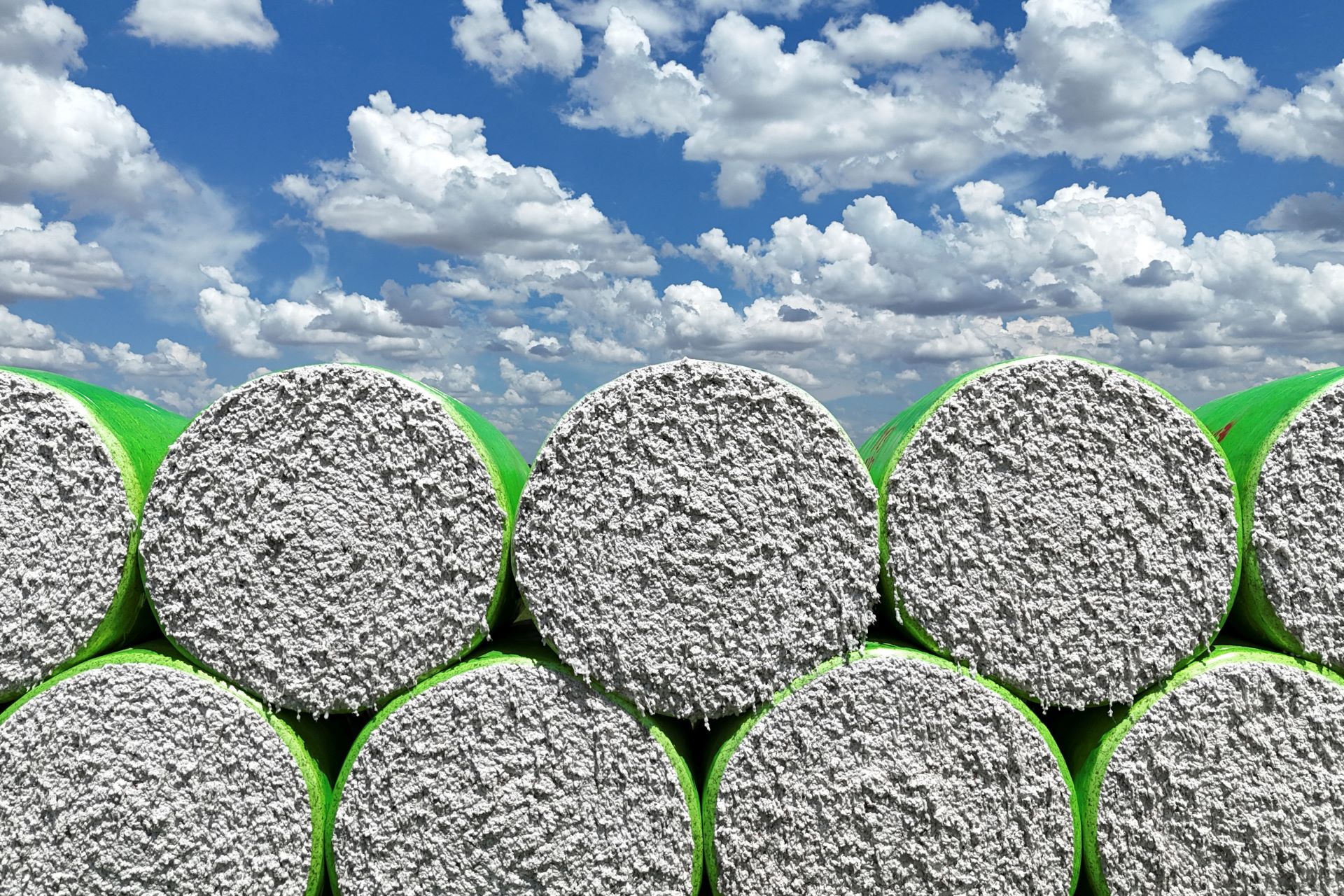 StoneX corta previsão da safra de algodão do Brasil para 2025/2026: queda de 1%! 1 Algodao