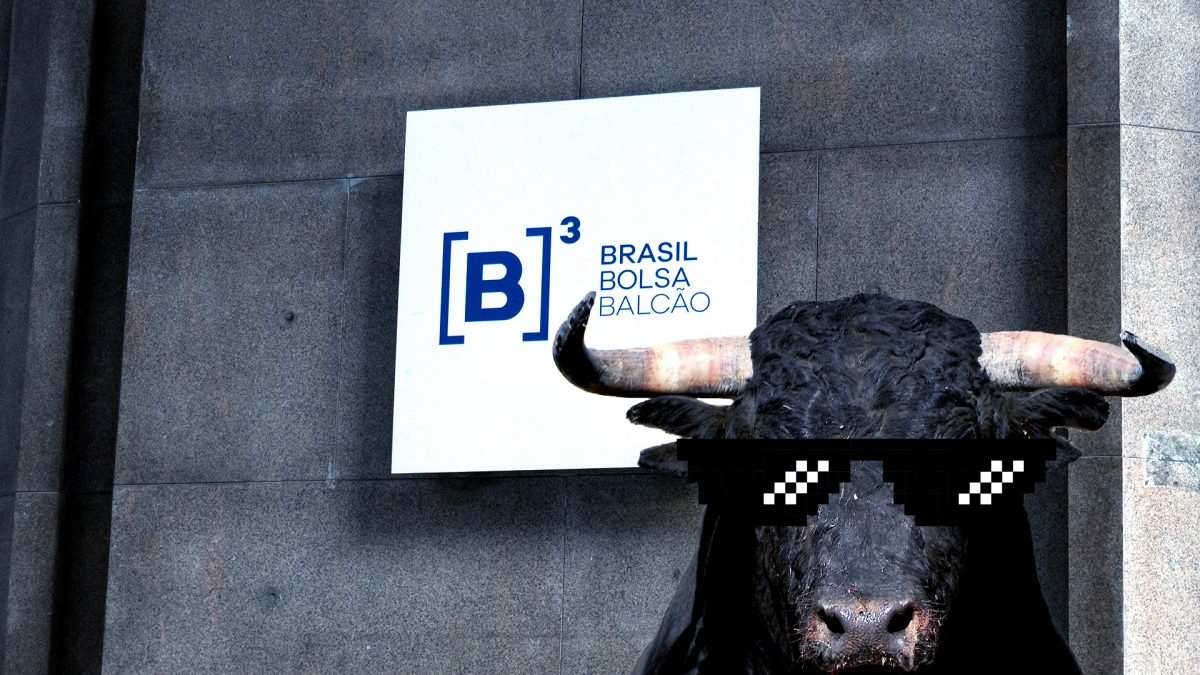 B3 bolsa Ibovespa bull market touro