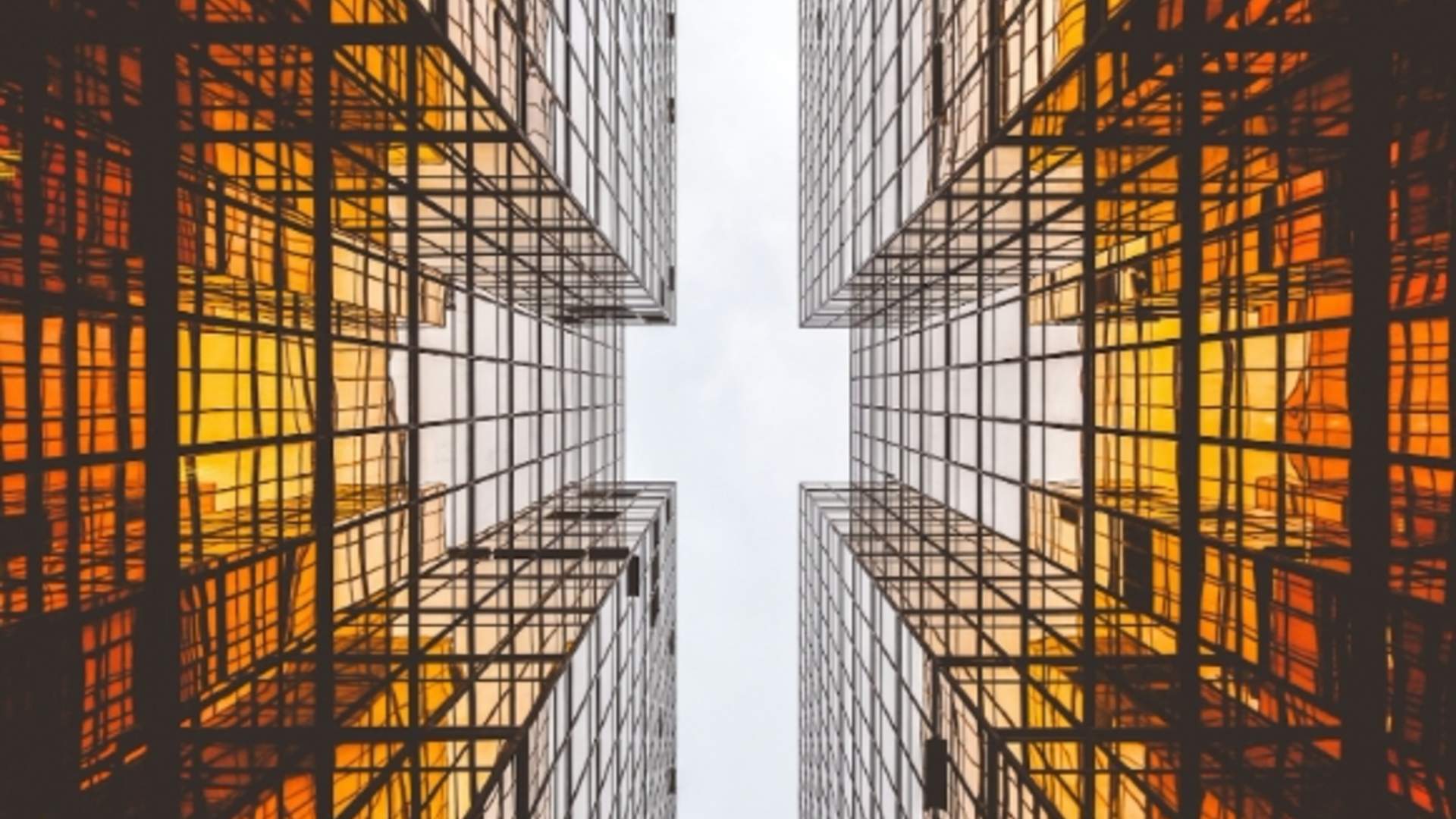 Bitfinex America Latina