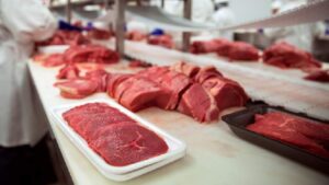 Embalagem de carne bovina 1