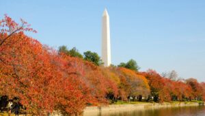 Paralisação: O Impacto Devastador no Turismo! 5 Monumento de Washington