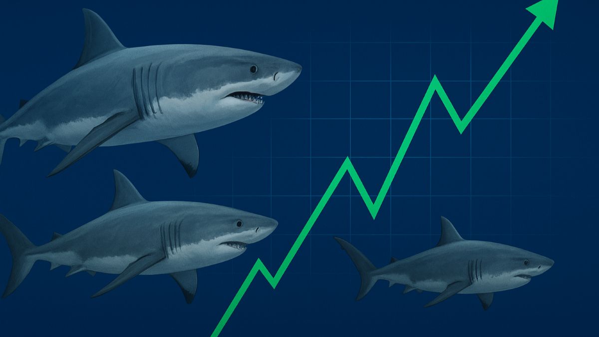 Bolsa em Alta de 30%: É Hora de Comprar ou Correr? Descubra o Que Pensam os Gigantes do Mercado! 2 Tubaroes mercado bolsa gestores fundos