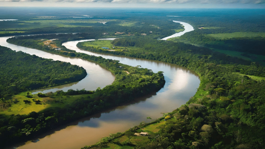 Crédito: O Motor da Revolução Ecológica no Brasil! 3 banco da amazonia