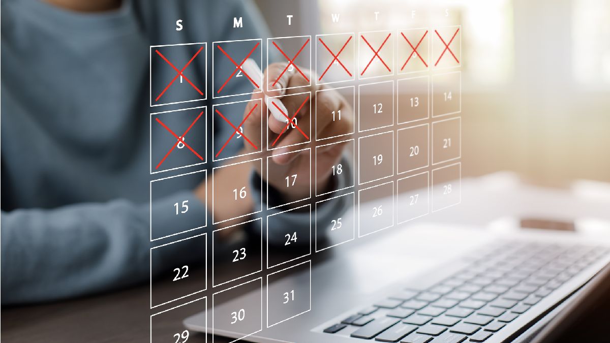 B3 em 'Feriado': Descubra o Que Funciona e o Que Para no Dia da Consciência Negra! 2 calendario