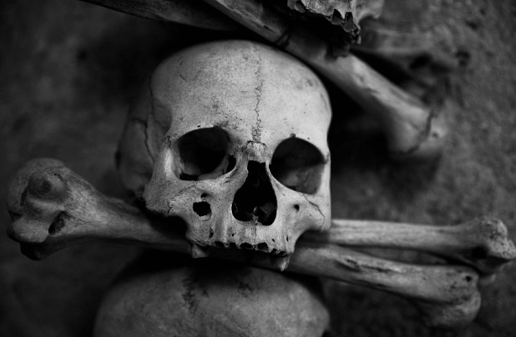 Criminoso das criptos é executado em Dubai! 2 casal desenterra corpo de lider de piramide para ter certeza da morte