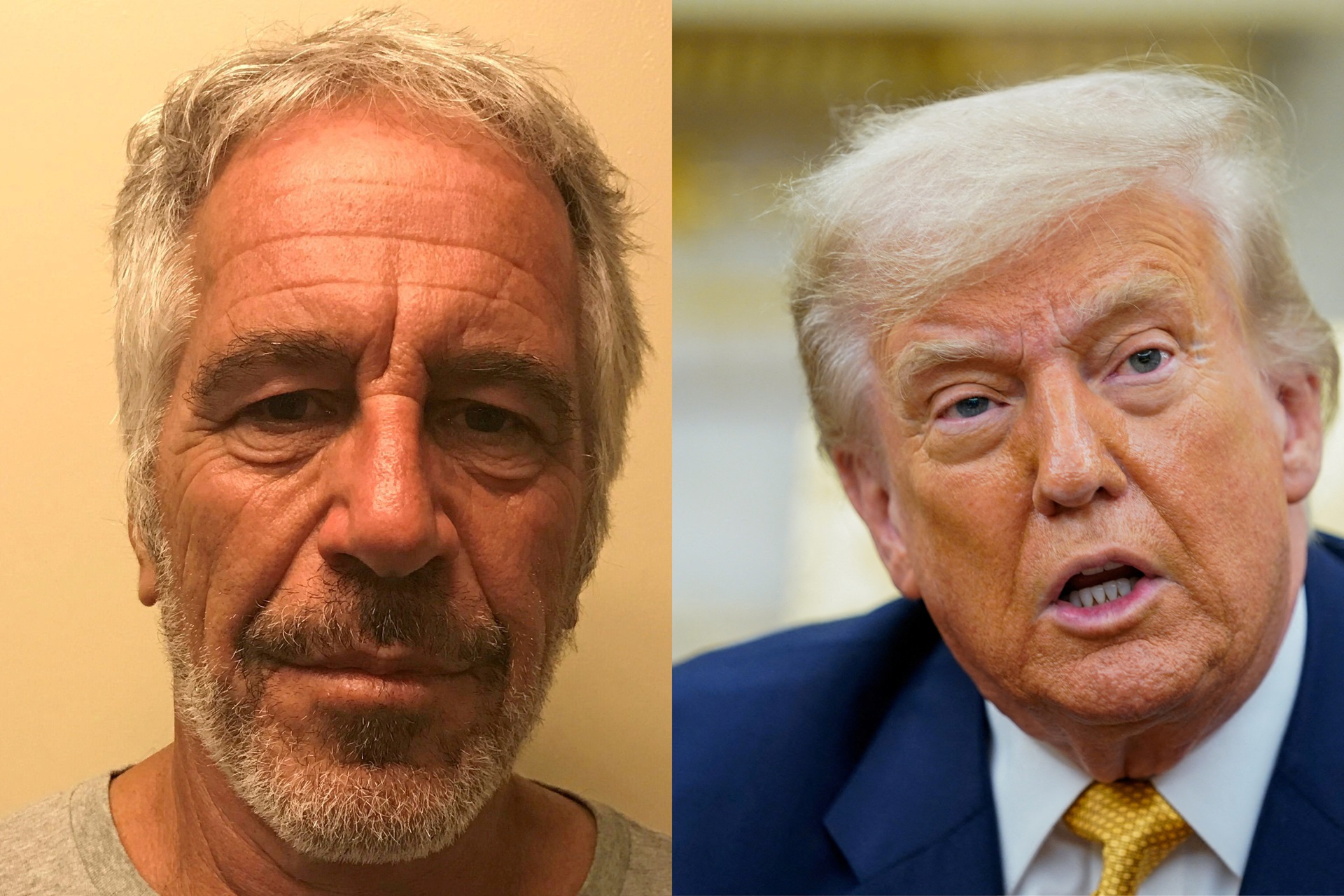 donald trump e jeffrey epstein