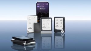 Ledger Pode Lançar IPO em Nova York ou Buscar Novo Investimento: Alerta!