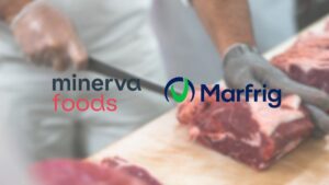 Minerva (BEEF3): Receita e Ebitda Estrondosos no 3T25, mas Ações Caem. O Que o Mercado Está Ignorando? 5 minerva marfrig mrfg3 beef3 acoes cade CAPA SD