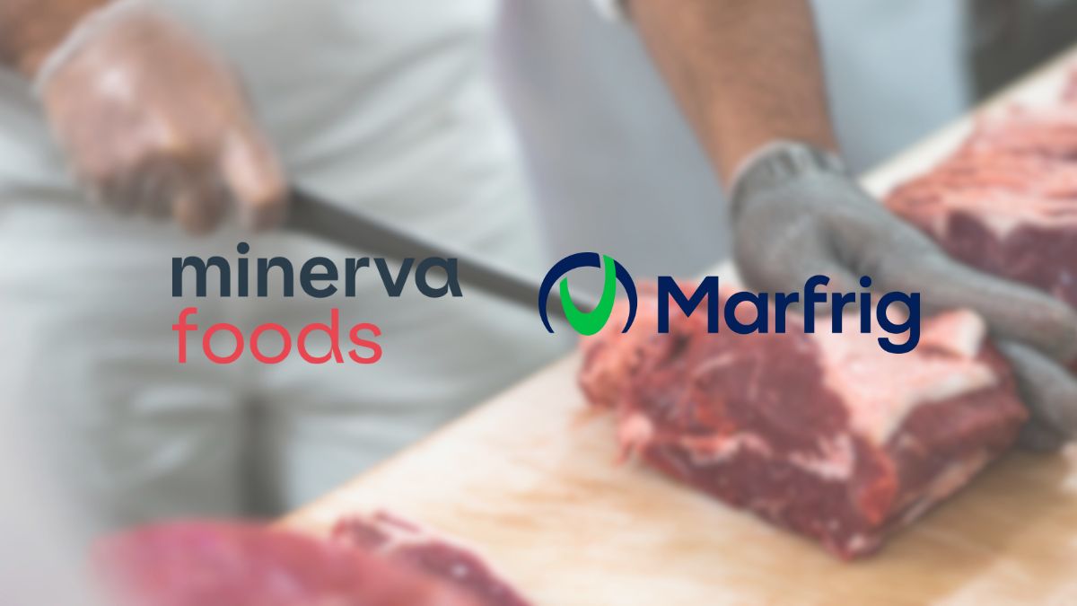 Minerva (BEEF3): Receita e Ebitda Estrondosos no 3T25, mas Ações Caem. O Que o Mercado Está Ignorando? 2 minerva marfrig mrfg3 beef3 acoes cade CAPA SD