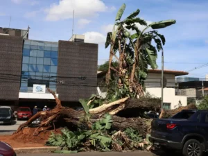 Luz queimada: R$ 1,54 bi em danos para o comércio de SP! Descubra como se proteger!
