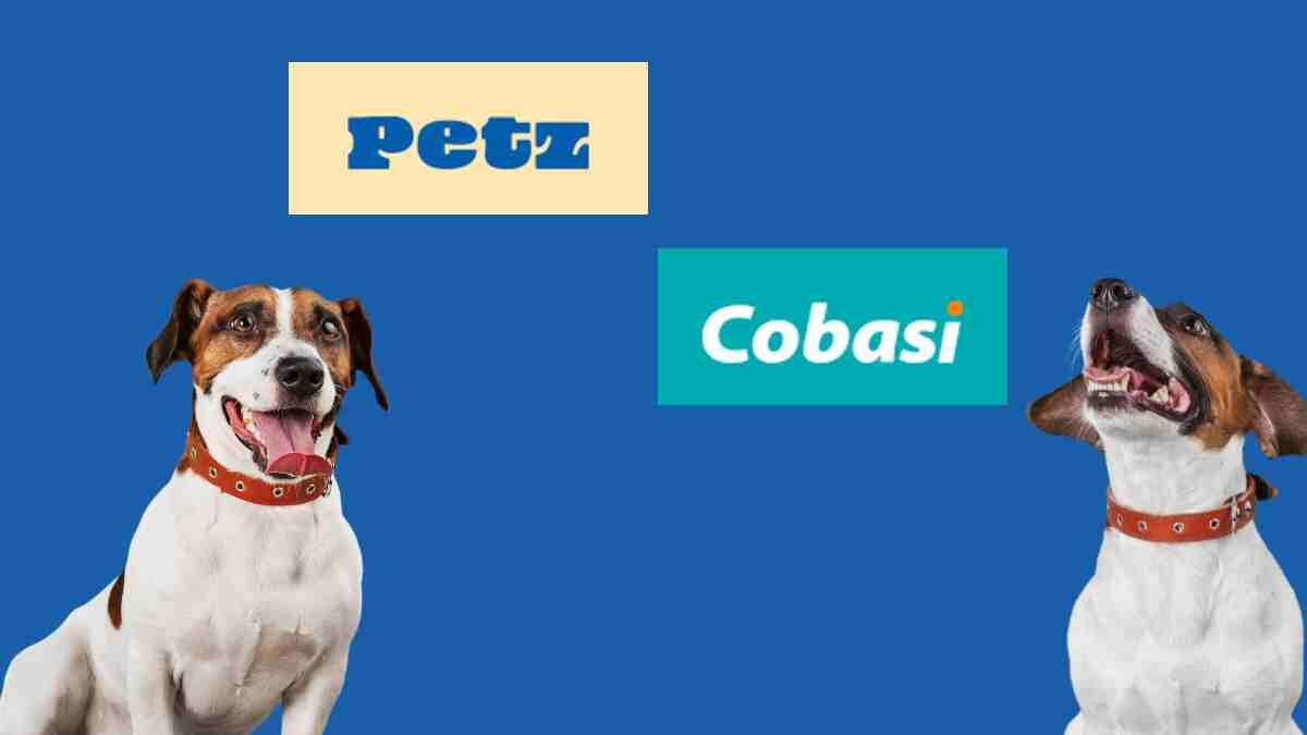 Artes Renan Sousa38 e1760789927231