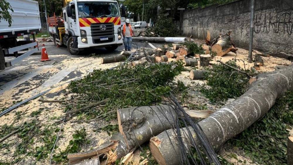 MP exige suspensão imediata da renovação, enquanto empresa garante normalização do fornecimento em poucas horas! 2 Arvore caida apos chuvas em Sao Paulo Enel