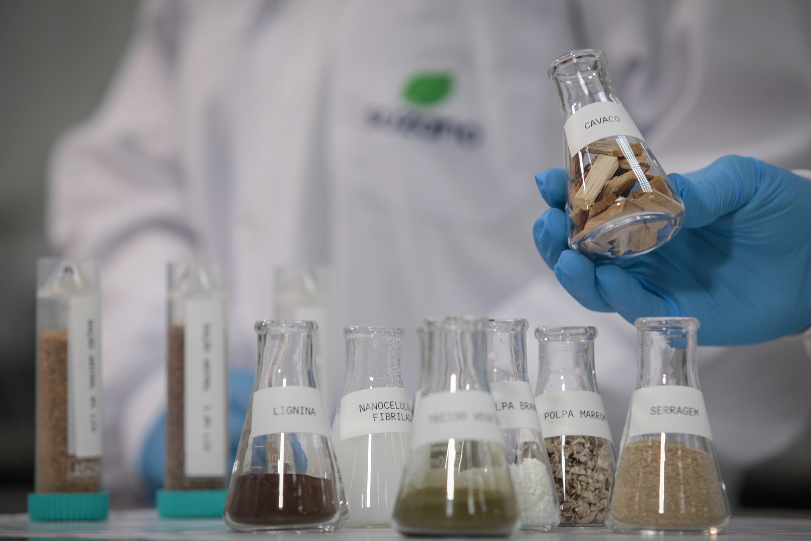 Suzano libera R$ 1,38 bi em dividendos e injetará R$ 5 bi em capital! 1 Credito Ehder de Souza