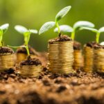 Governo libera R$ 150 milhões para impulsionar projetos verdes; descubra como garantir o seu! 1 ESG sustentabilidade