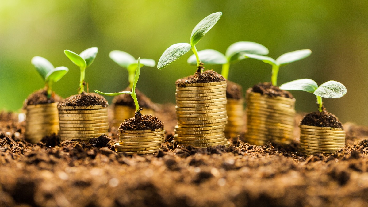 A Revolução ESG: Ações Rentáveis e Sustentáveis para Garantir seu Futuro em Dezembro! 2 ESG sustentabilidade