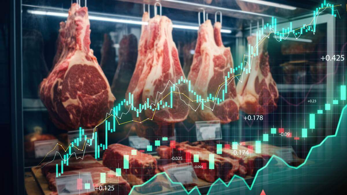 Frigorifica na bolsa carne