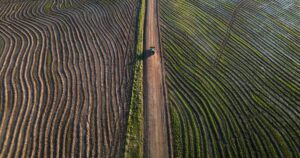 Do Importador ao Líder: Como o Agro Brasileiro Conquistou 190 Países em Meio Século! 7 IBL5RM7V7REOHHULKOG5IX7HIE