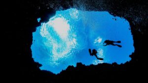 O Turismo de Mergulho Vai Explodir até 2030! Descubra 5 Destinos Imperdíveis! 5 Palau ifish