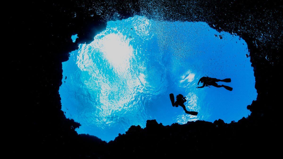 O Turismo de Mergulho Vai Explodir até 2030! Descubra 5 Destinos Imperdíveis! 2 Palau ifish