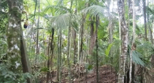 BRK Ambiental Quebra o Silêncio: IPO na B3 Pode Estar a Caminho!