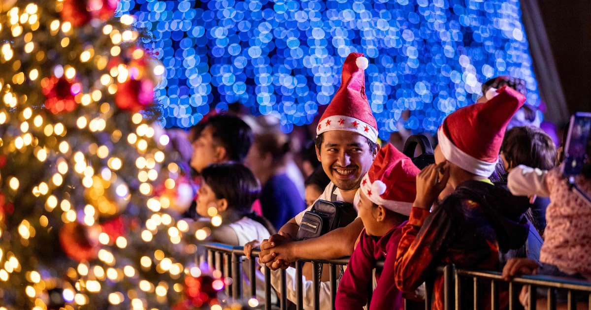 WV5AAMHVWJDZ3BQKMLU7I55WX4