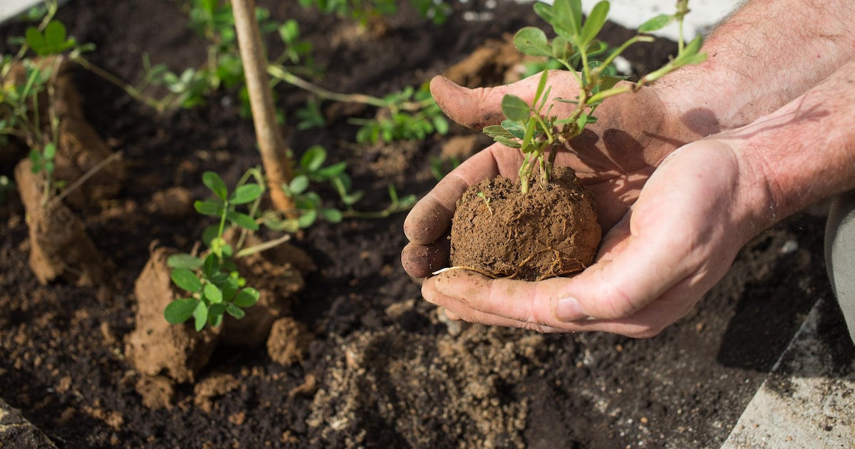 XO5Z2FPHGJFDHARND63NTCQ3CE