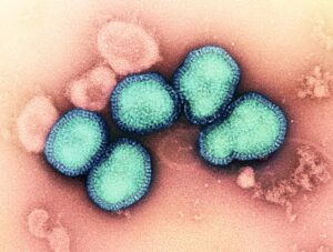 Dose Disponível: Escudo Contra a Nova Infecção? Descubra!